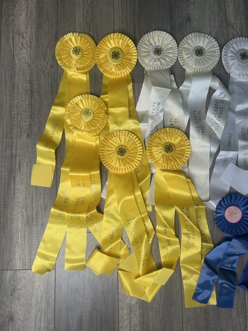 Show Ribbons 4-H Club Rosettes Craft Equestrian Tennessee Shelbyville Lot Of 19 - Picture 2 of 16